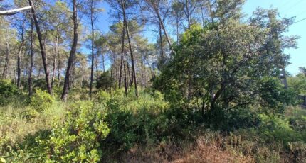 Bagnols-en-Forêt Terrain à bâtir - 2399831-9911annonce520260120vazSZ.jpeg Maisons de Manon