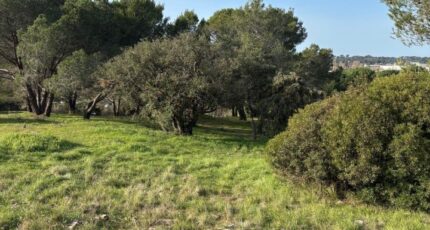 Fréjus Terrain à bâtir - 2401645-5826annonce220260122NzCNh.jpeg Maisons de Manon