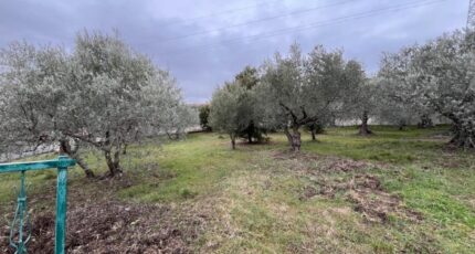 Manosque Terrain à bâtir - 2407763-2970annonce1202602241gcJS.jpeg Maisons de Manon