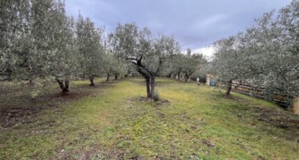 Manosque Terrain à bâtir - 2407803-2970annonce120260224gJTrW.jpeg Maisons de Manon