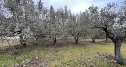 Manosque Maison neuve - 2407804-2970annonce220260224K3nlC.jpeg Maisons de Manon