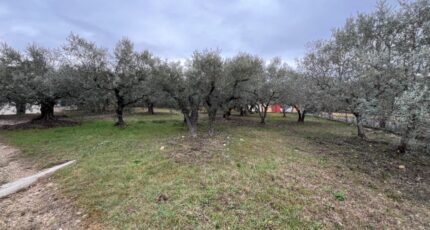 Manosque Maison neuve - 2407792-2970annonce220260224PZsA0.jpeg Maisons de Manon