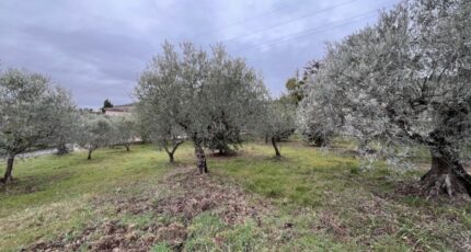 Manosque Maison neuve - 2407776-2970annonce320260224IEuoz.jpeg Maisons de Manon