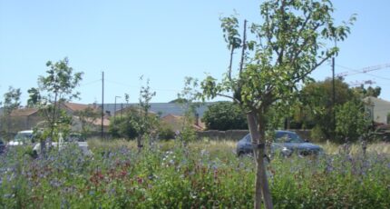 Hyères Terrain à bâtir - 2310019-11080annonce120251018OllRN.jpeg Maisons de Manon