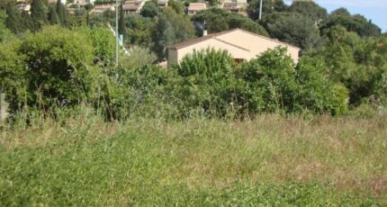Hyères Terrain à bâtir - 2310019-11080annonce220251018BVp0i.jpeg Maisons de Manon