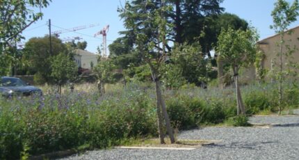 Hyères Terrain à bâtir - 2310019-11080annonce320251018qb1W2.jpeg Maisons de Manon