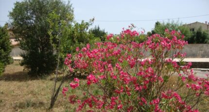 La Crau Terrain à bâtir - 2328912-11080annonce120251105zWtsv.jpeg Maisons de Manon