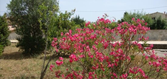 Terrain à bâtir à La Crau, Provence-Alpes-Côte d'Azur