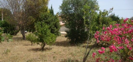 Terrain à bâtir à , Var