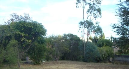 Cuers Terrain à bâtir - 2329089-11080annonce1202511050knbH.jpeg Maisons de Manon