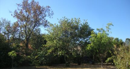 Cuers Terrain à bâtir - 2329089-11080annonce3202511059dFAp.jpeg Maisons de Manon