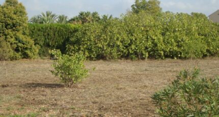 Pierrefeu-du-Var Terrain à bâtir - 2350354-11080annonce320251126xuxDH.jpeg Maisons de Manon