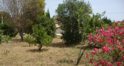 La Crau Maison neuve - 2328933-11080annonce220251105GrewF.jpeg Maisons de Manon