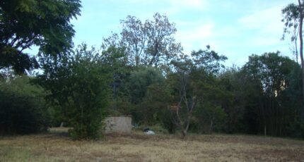 Cuers Maison neuve - 2329102-11080annonce220251105JVVGr.jpeg Maisons de Manon