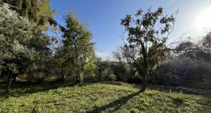 Flayosc Terrain à bâtir - 2415834-11723annonce120260202W2ekf.jpeg Maisons de Manon