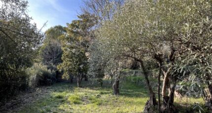 Flayosc Terrain à bâtir - 2415834-11723annonce320260202Nv44X.jpeg Maisons de Manon