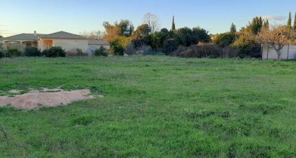 Saint-Martin-de-Crau Maison neuve - 2415925-440annonce120260202r7lZH.jpeg Maisons de Manon