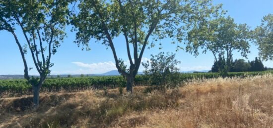 Terrain à bâtir à , Hérault