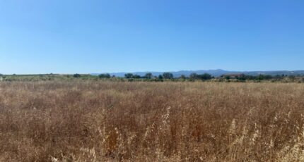 Olonzac Maison neuve - 2416499-11018annonce120260203Xq34C.jpeg Maisons de Manon