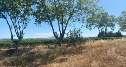 Olonzac Maison neuve - 2416505-11018annonce220260203EQp5Z.jpeg Maisons de Manon