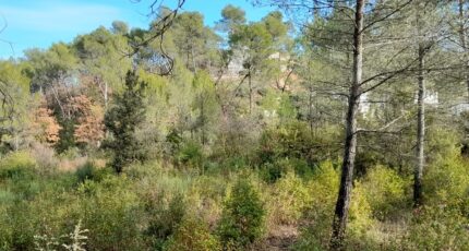 Brignoles Terrain à bâtir - 2422004-10744annonce120251001Ipf7e.jpeg Maisons de Manon