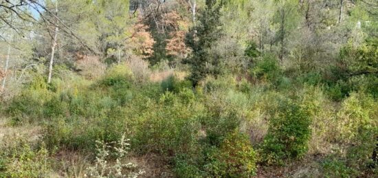 Terrain à bâtir à , Var