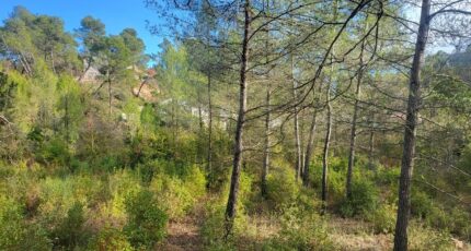 Brignoles Terrain à bâtir - 2422004-10744annonce420251001lZ9pH.jpeg Maisons de Manon