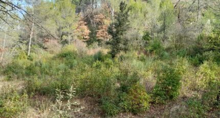 Brignoles Maison neuve - 2422006-10744annonce220251001O9Oqs.jpeg Maisons de Manon