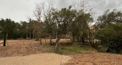 Vidauban Maison neuve - 2423203-11723annonce520260127tPs17.jpeg Maisons de Manon