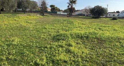 Roquebrune-sur-Argens Maison neuve - 2424719-5826annonce120260121OZRAx.jpeg Maisons de Manon