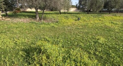 Roquebrune-sur-Argens Maison neuve - 2424719-5826annonce220260121blBfL.jpeg Maisons de Manon