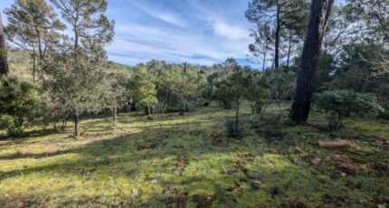 Garéoult Maison neuve - 2426294-10744annonce220260212dnwnG.jpeg Maisons de Manon