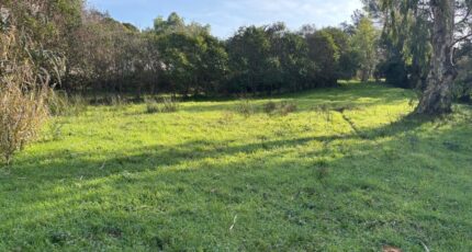 Fréjus Maison neuve - 2426756-5826annonce120260122MvVf5.jpeg Maisons de Manon