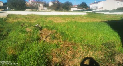 Pertuis Terrain à bâtir - 2426845-10271annonce220260212JeELm.jpeg Maisons de Manon