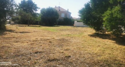 Pertuis Maison neuve - 2427433-10271annonce220260212xi4dN.jpeg Maisons de Manon