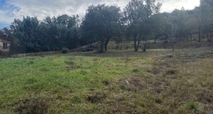 Saint-Paul-lès-Durance Terrain à bâtir - 2425065-7050annonce120260211GIoai.jpeg Maisons de Manon