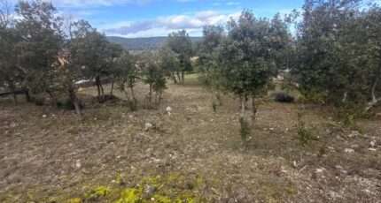 Saint-Paul-lès-Durance Terrain à bâtir - 2425065-7050annonce420260211GN1oN.jpeg Maisons de Manon