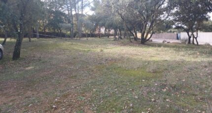 Peyrolles-en-Provence Maison neuve - 2425989-7050annonce220260211HIDPJ.jpeg Maisons de Manon