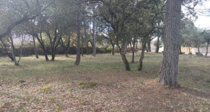 Peyrolles-en-Provence Maison neuve - 2425989-7050annonce320260211x3TsN.jpeg Maisons de Manon