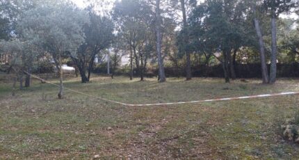 Peyrolles-en-Provence Maison neuve - 2425989-7050annonce420260211J5Bps.jpeg Maisons de Manon