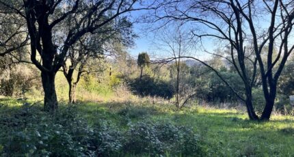 Grasse Terrain à bâtir - 2428284-10140annonce220260213aFDan.jpeg Maisons de Manon