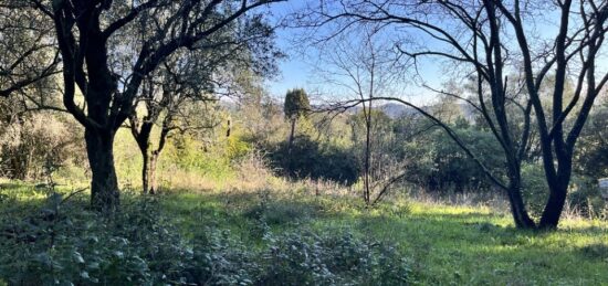 Terrain à bâtir à , Alpes-Maritimes