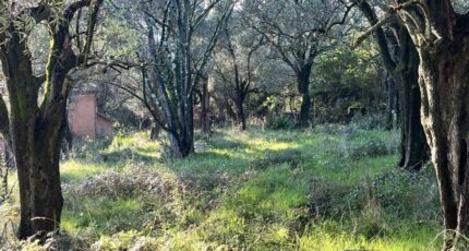 Grasse Terrain à bâtir - 2428284-10140annonce320260213bxfQ2.jpeg Maisons de Manon