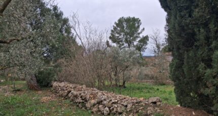 Carcès Maison neuve - 2428561-10746annonce1202602136Mq9A.jpeg Maisons de Manon