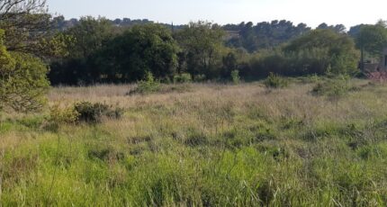 Pierrefeu-du-Var Maison neuve - 2431377-11080annonce320260217aCmxs.jpeg Maisons de Manon