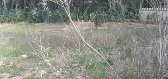 Terrain à bâtir à Cruviers-Lascours, Occitanie