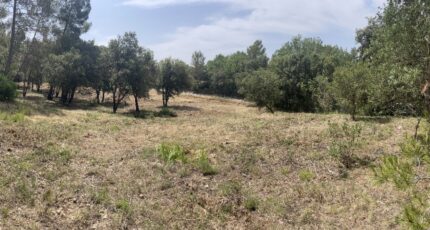 Taradeau Terrain à bâtir - 2432661-10744annonce3202510274IZsg.jpeg Maisons de Manon