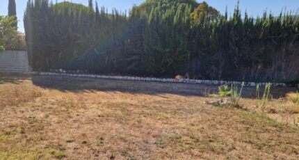 Châteauneuf-Grasse Terrain à bâtir - 2433018-1836annonce3202602185lFg1.jpeg Maisons de Manon