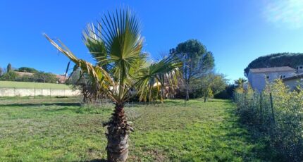 Vidauban Maison neuve - 2433385-9911annonce320260218a8AtG.jpeg Maisons de Manon