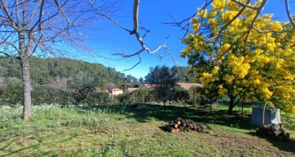 Le Thoronet Maison neuve - 2433416-9911annonce120260218O6Byr.jpeg Maisons de Manon